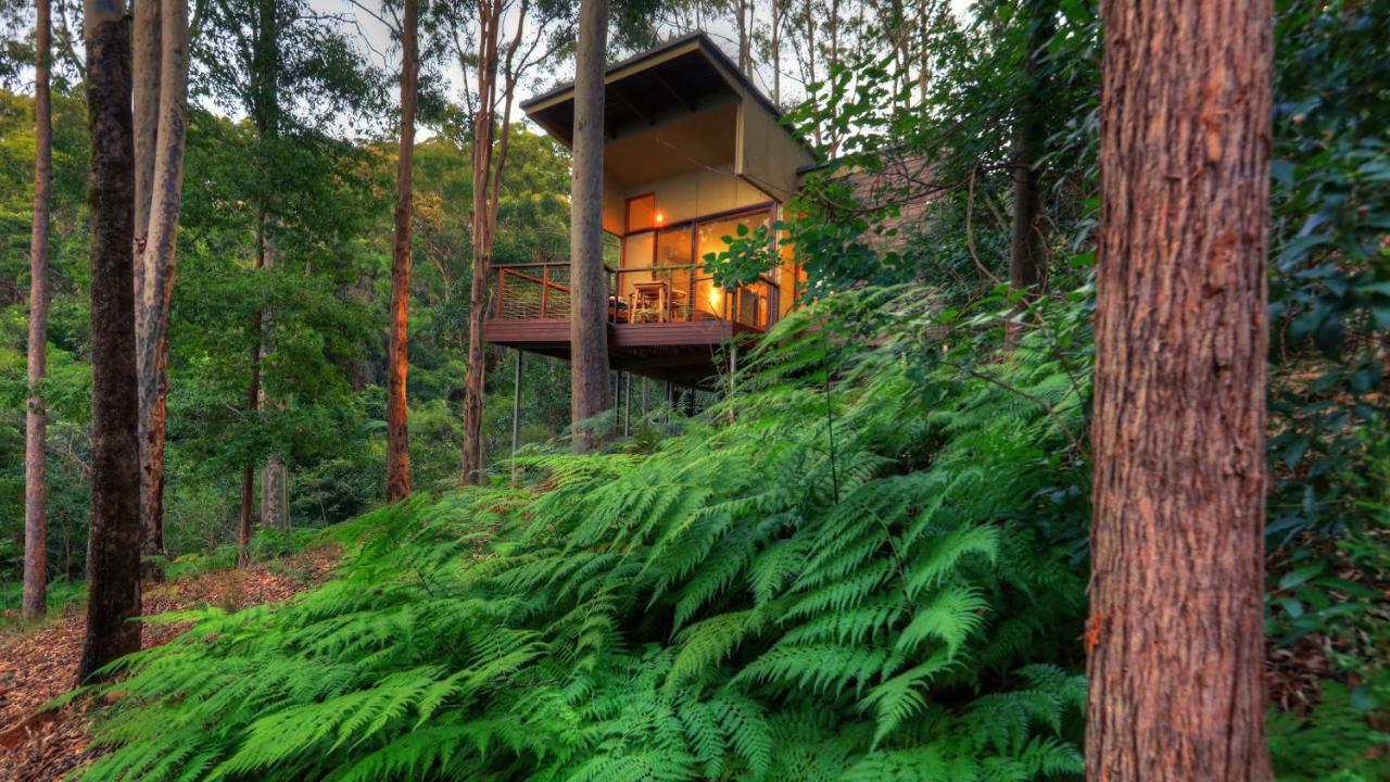 Montville Ocean View Cottages Exteriér fotografie